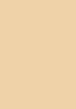 BRYSTOL karton A3 HAPPY COLOR 170g chamois opk.25