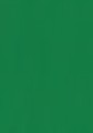 BRYSTOL karton A3 HAPPY COLOR 170g c.zielony op.25