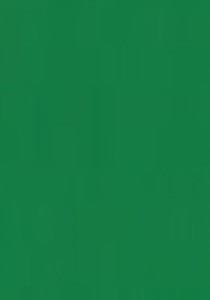 BRYSTOL karton A3 HAPPY COLOR 170g c.zielony op.25