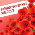 AJAX FLORAL FIESTA płyn do mycia podłóg uniwersalny - Kwiaty Polne 1L