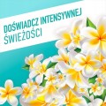 AJAX FLORAL FIESTA płyn do mycia podłóg uniwersalny - Laguna 1L