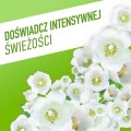 AJAX FLORAL FIESTA płyn do mycia podłóg uniwersalny - Konwalia 1L